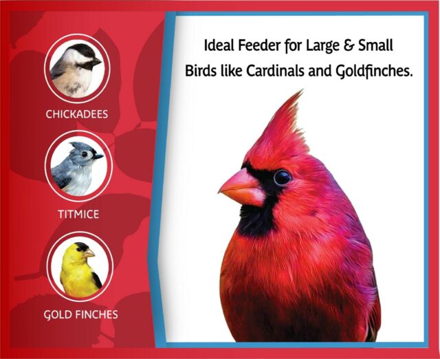 Pennington Classic Cedar Nature's Friend Wild Bird Feeder, 3 lbs Seed Capacity