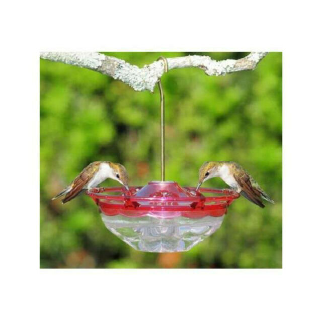 Hummblossom cutest hummingbird feeder rose  4 oz. hummers love it!! made in usa