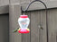 Hummingbird Feeders: Nectar Bird Feeder: 2PK Hanging 6.75x4” FREE SHIPPING Red