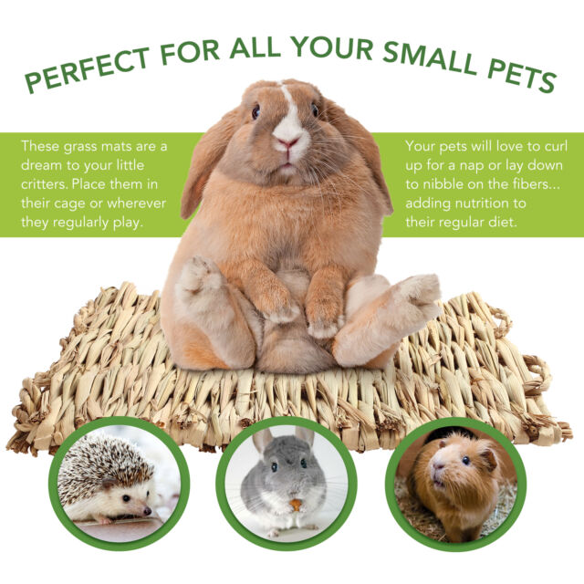 3 Grass Mat Woven Bed Mat for Small Animal Bunny Bedding Nest Chew Toy Bird Play