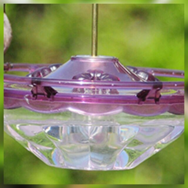 HummBlossom CUTEST HUMMINGBIRD Feeder PLUM  4 OZ. HUMMERS LOVE IT!! MADE IN USA