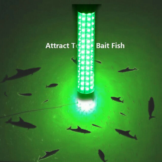 Green 12V LED Underwater Submersible Fishing Light Night Crappie Shad Squid Lamp