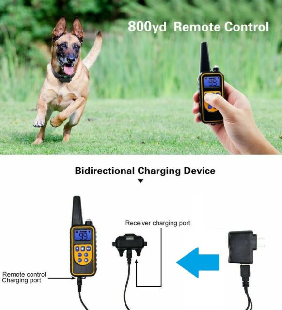 Dog Shock Training Collar Rechargeable Remote Control Waterproof IP67 875 Yards