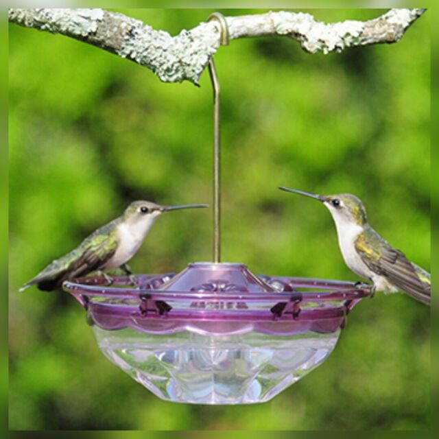 HummBlossom CUTEST HUMMINGBIRD Feeder PLUM  4 OZ. HUMMERS LOVE IT!! MADE IN USA