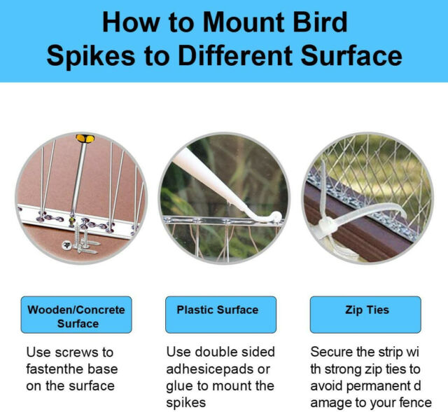 5 Pack Bird Spikes for Pigeons Small Birds,Stainless Steel Deterrent-Cover4 Feet