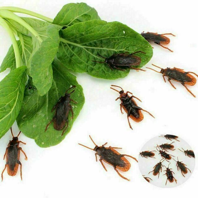 40pcs Prank Cockroaches Realistic Cock Roach Rubber Fake Creepy Bug Gag Toy Joke