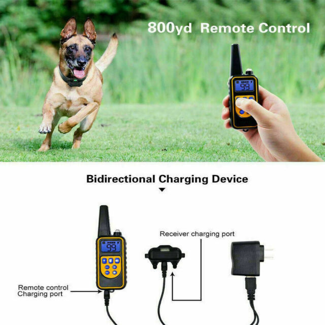 NEW 2600 FT Remote Dog Shock Training Collar Rechargeable Waterproof Pet Trainer