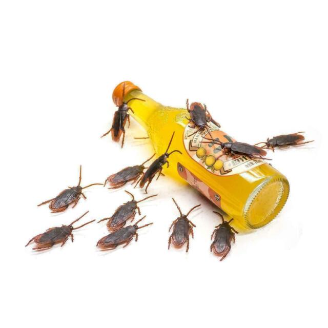40pcs Prank Cockroaches Realistic Cock Roach Rubber Fake Creepy Bug Gag Toy Joke
