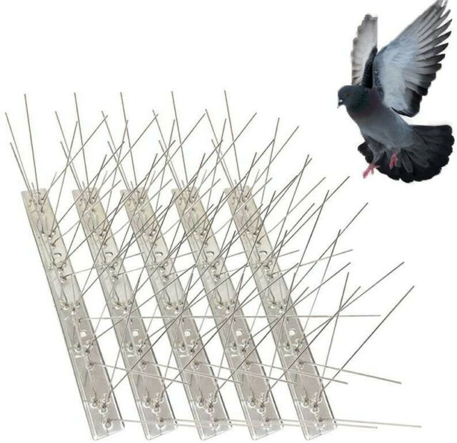 5 Pack Bird Spikes for Pigeons Small Birds,Stainless Steel Deterrent-Cover4 Feet