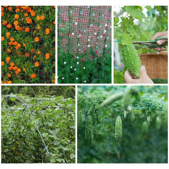 Garden Plant Climbing Net Trellis Netting Mesh Support Fruits Vine Veggie Bean