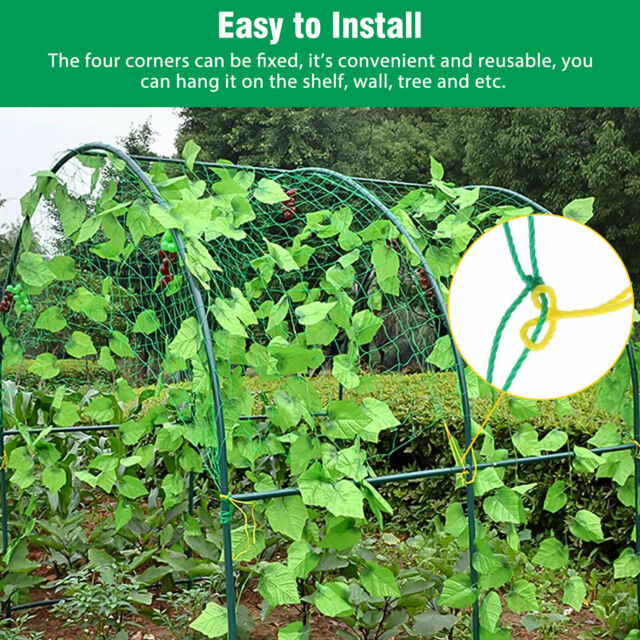 Garden Plant Climbing Net Trellis Netting Mesh Support Fruits Vine Veggie Bean