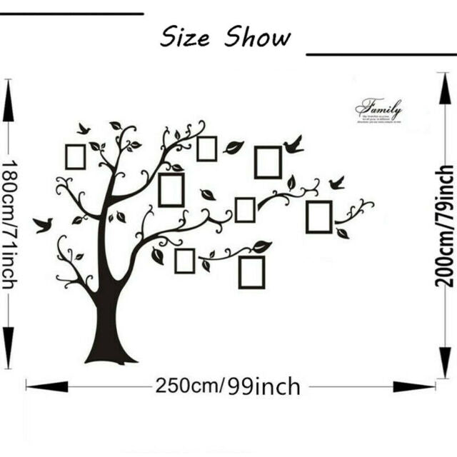 Family Tree Wall Decal Sticker Large Vinyl Photo Picture Frame Removable Black