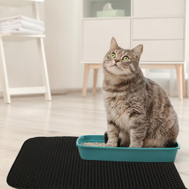 Kitty Cat Litter Mat Trapping Honeycomb Double Layer Design Waterproof 24x15''