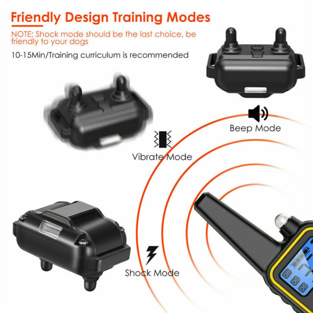 Dog Shock Training Collar Rechargeable Remote Control Waterproof IP67 875 Yards