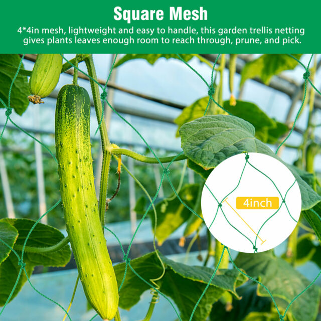 Garden Plant Climbing Net Trellis Netting Mesh Support Fruits Vine Veggie Bean