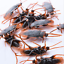 60PCS Prank Cockroaches Realistic Cock Roach Fake Creepy Bug Gag Toy Joke USA