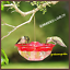 Hummblossom cutest hummingbird feeder rose  4 oz. hummers love it!! made in usa